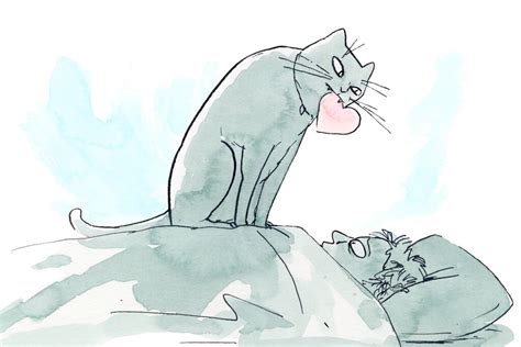 cat hub xxx|A Feline Scientist Explains Why Your Cat Might Actually Like You.